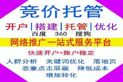 SEM托管代运营案例：提升转化率策略